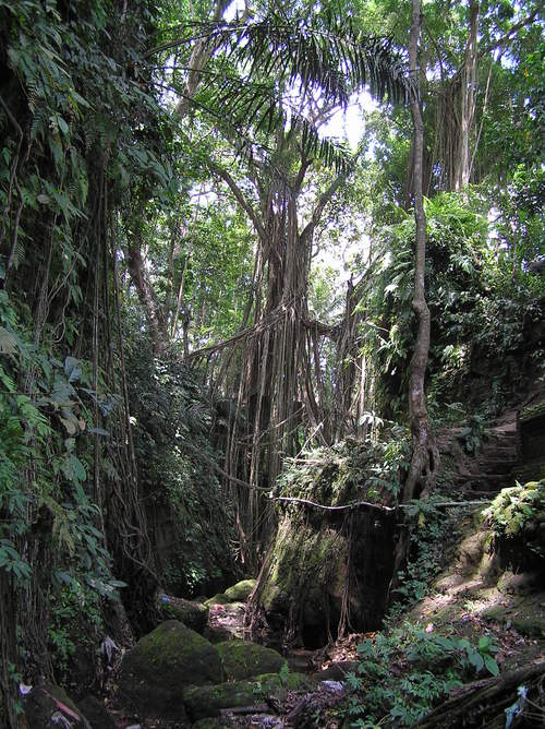 2005_indonesiatrip_209_2